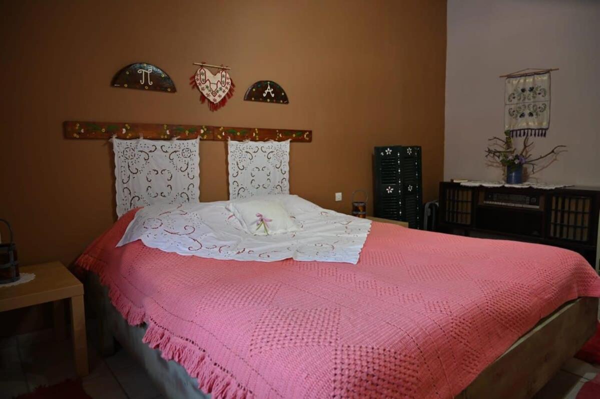 Kalavrita Winter Retreat - Homely Spacious Chalet Áno Vlasía エクステリア 写真