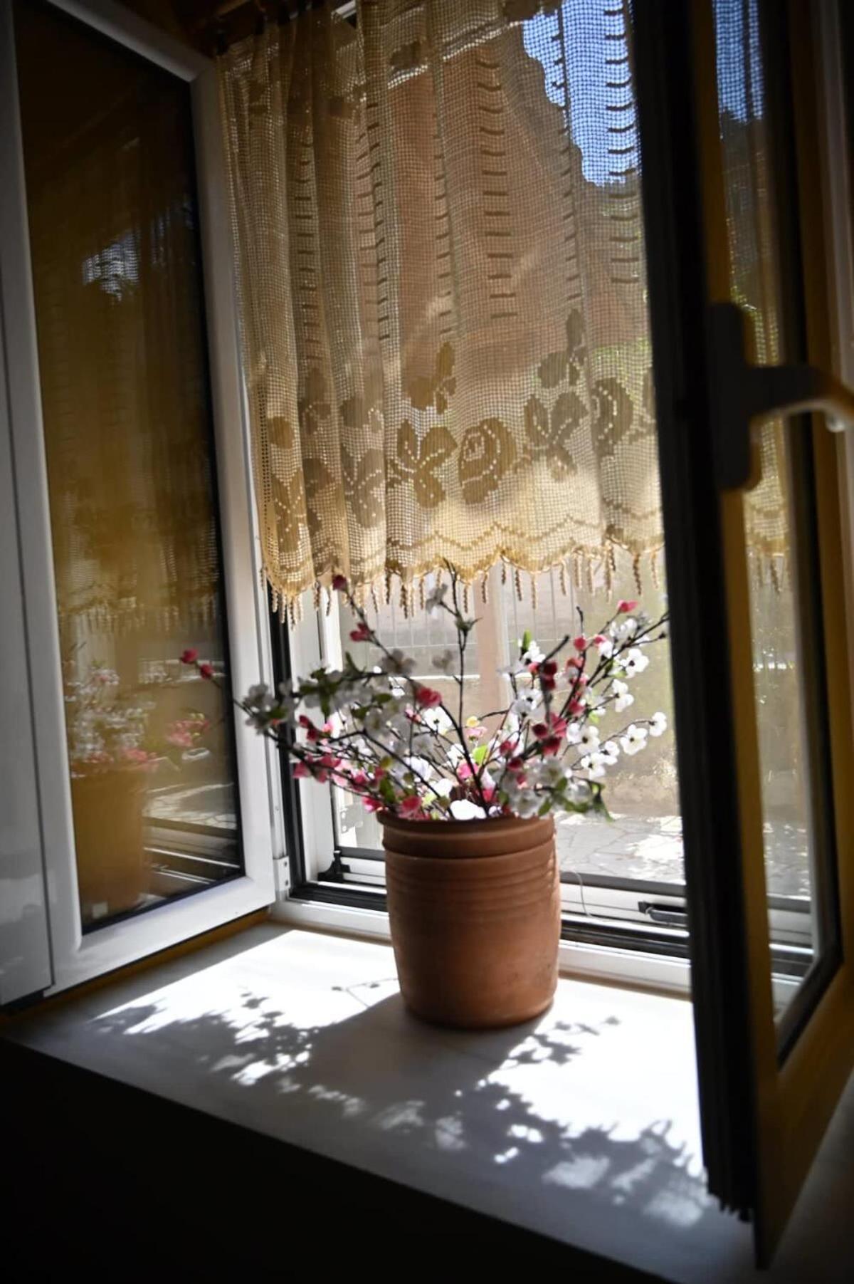 Kalavrita Winter Retreat - Homely Spacious Chalet Áno Vlasía エクステリア 写真
